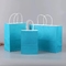 Sacs d'épicerie de papier faits sur commande de Logo Printed Paper Shopping Bags avec des poignées